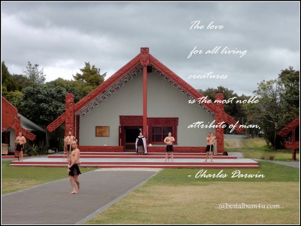 Traditional Maori Haka