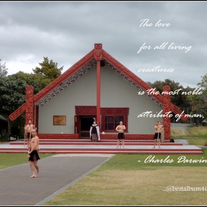 Traditional Maori Haka