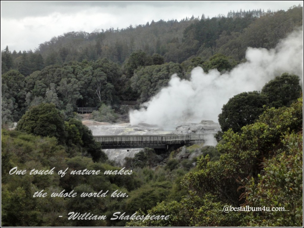 Pohutu Geyser