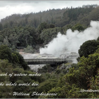 Pohutu Geyser