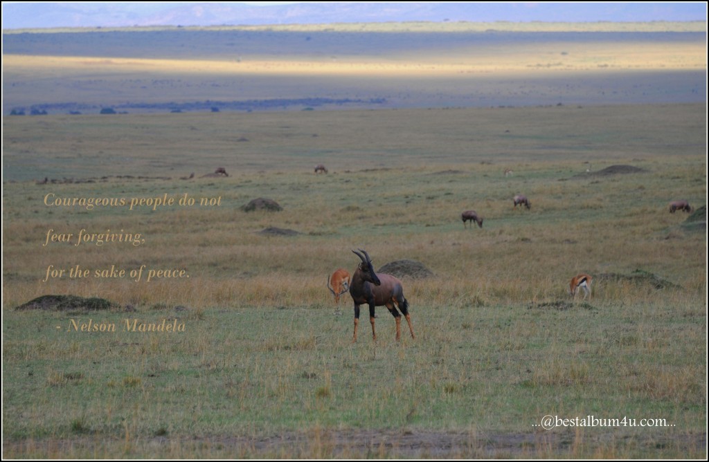 Maasai Mara