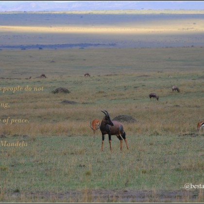 Maasai Mara